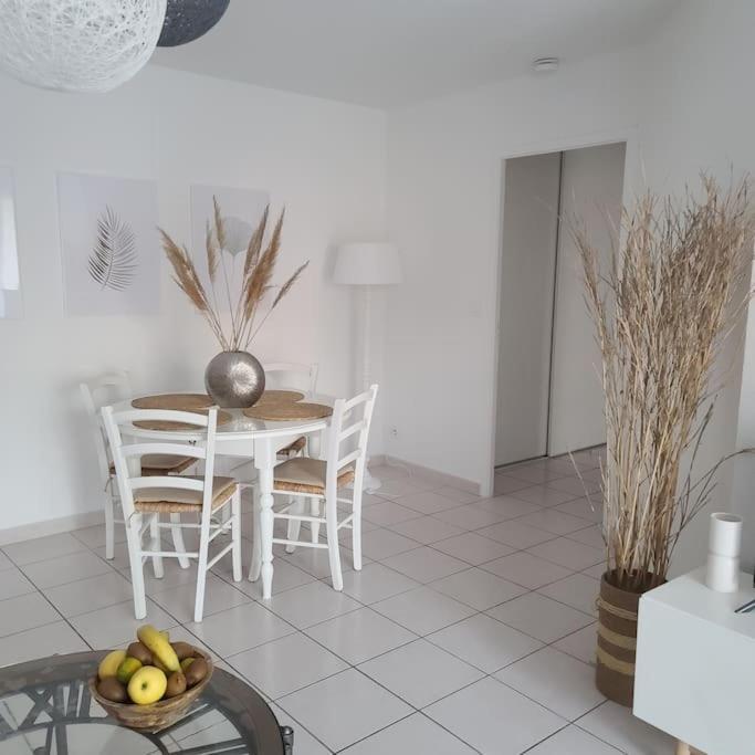 Appartement 63 M2, Tout Confort, Climatise. Saint-Cyprien  Exterior photo